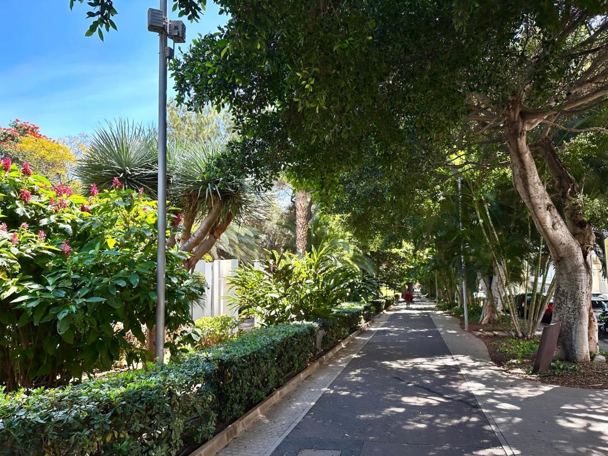 Centrico Y Moderno Junto Al Parque Leilighet Santa Cruz de Tenerife Eksteriør bilde