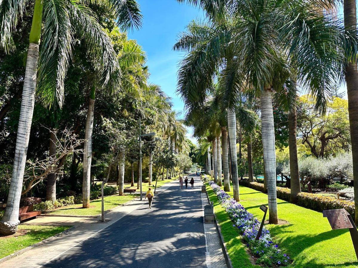 Centrico Y Moderno Junto Al Parque Leilighet Santa Cruz de Tenerife Eksteriør bilde